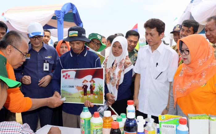 Pupuk Bersubsidi, PJ Upsus Bogor Pantau Penyaluran Kartu Tani